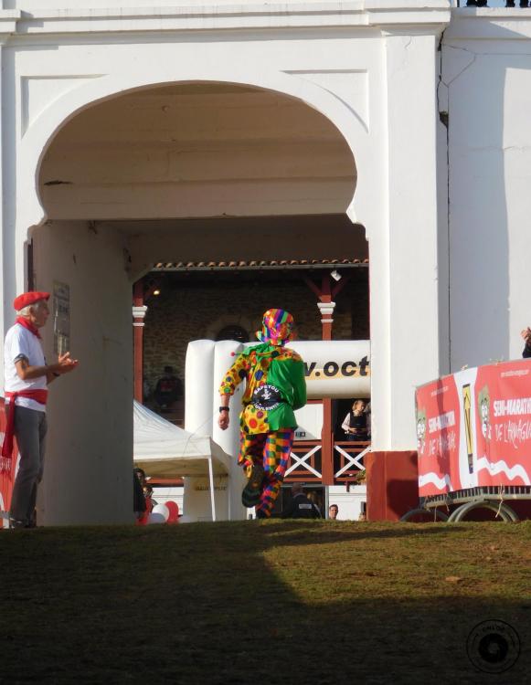 20220925-094205-DSCN8781