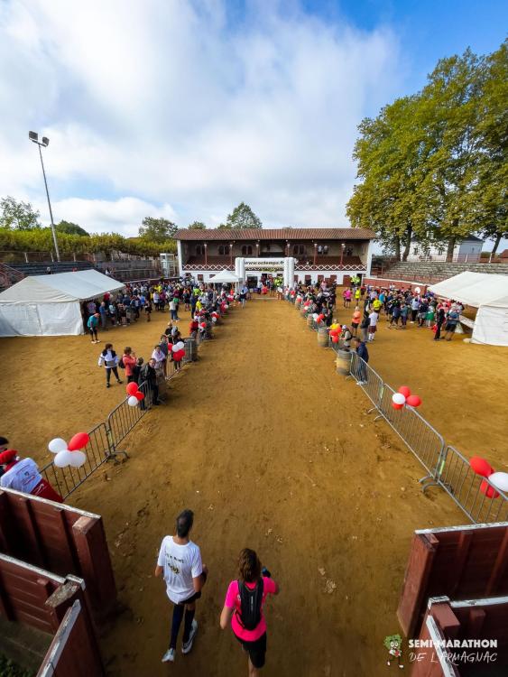 20220925-110758-IMG 7498